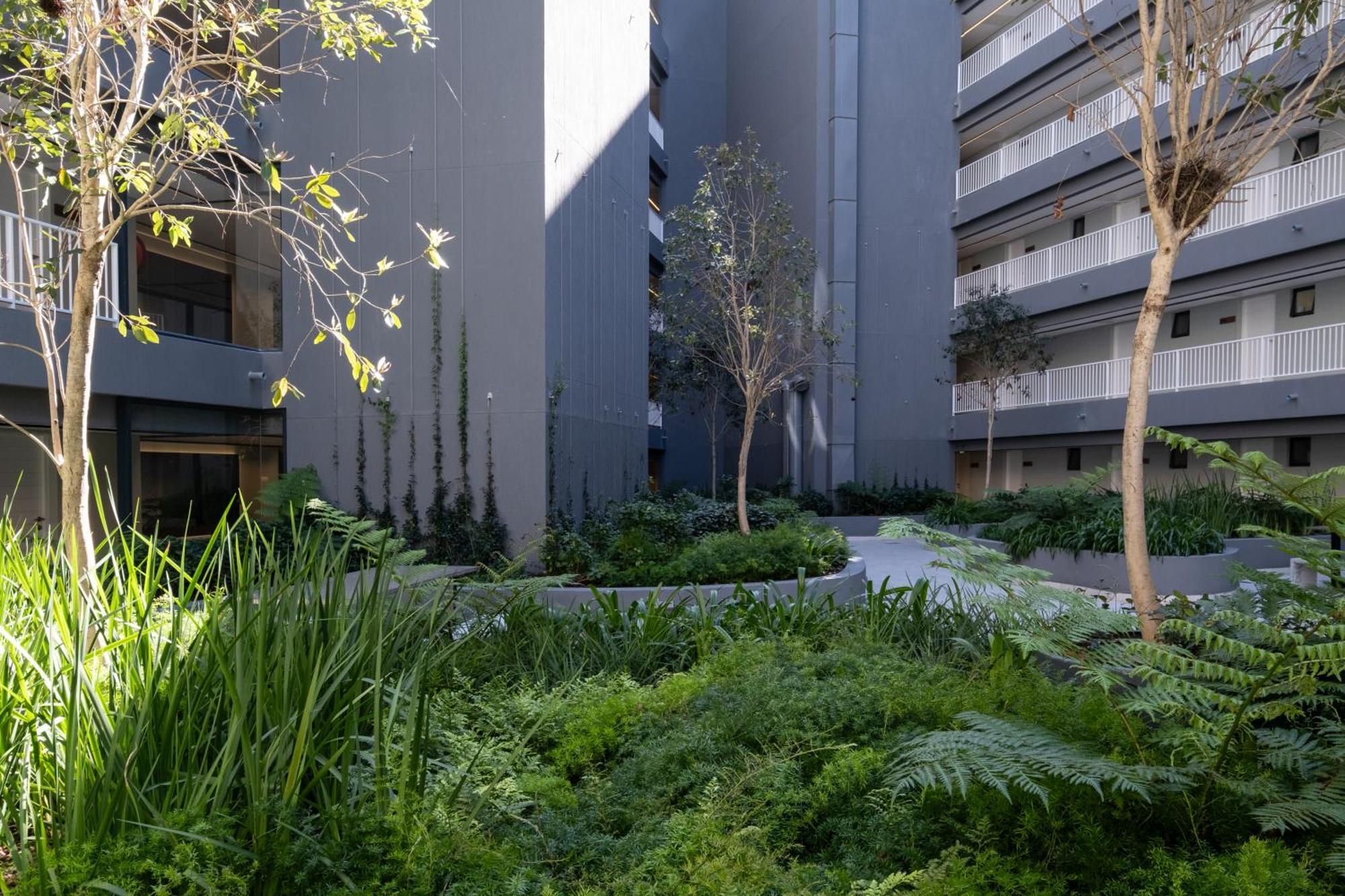 Newlands Peak Luxury Kapstadt